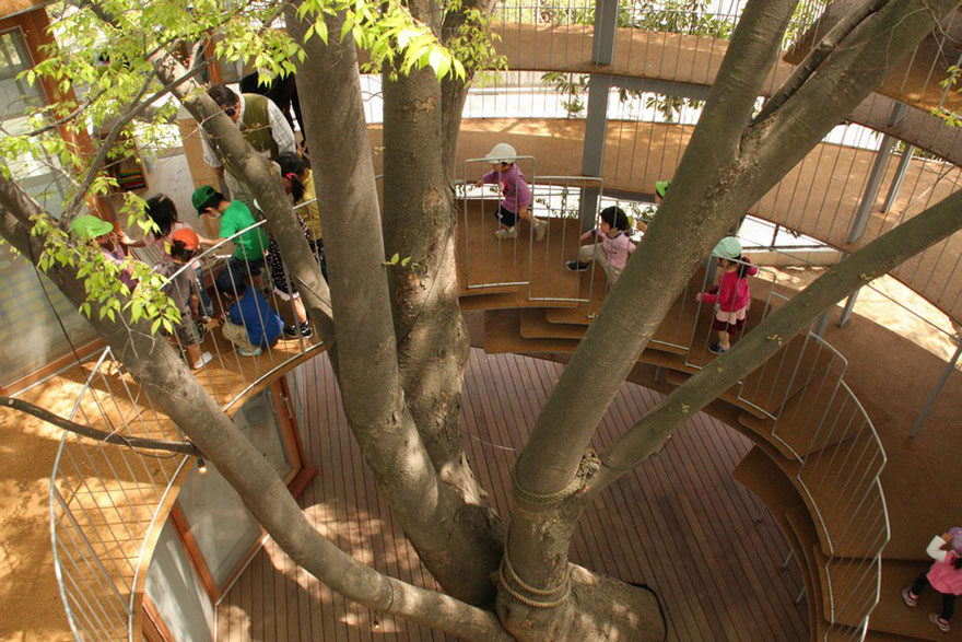 kindergarten-around-tree-zelkova-fuji-tezuka-architects-27
